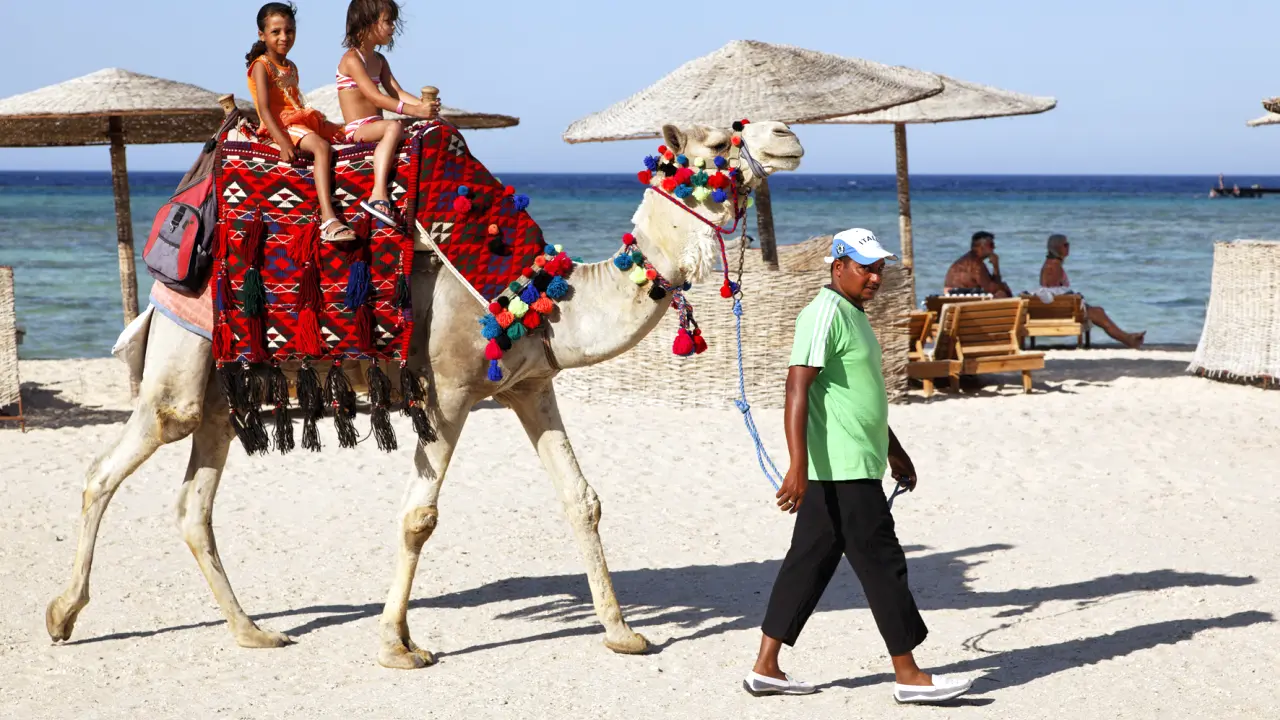 الفندق ثري كورنرز فيروز بلازا بيتش - مرسى علم